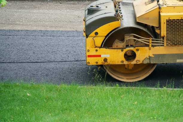 Best Driveway Paving Contractor  in Reinholds, PA